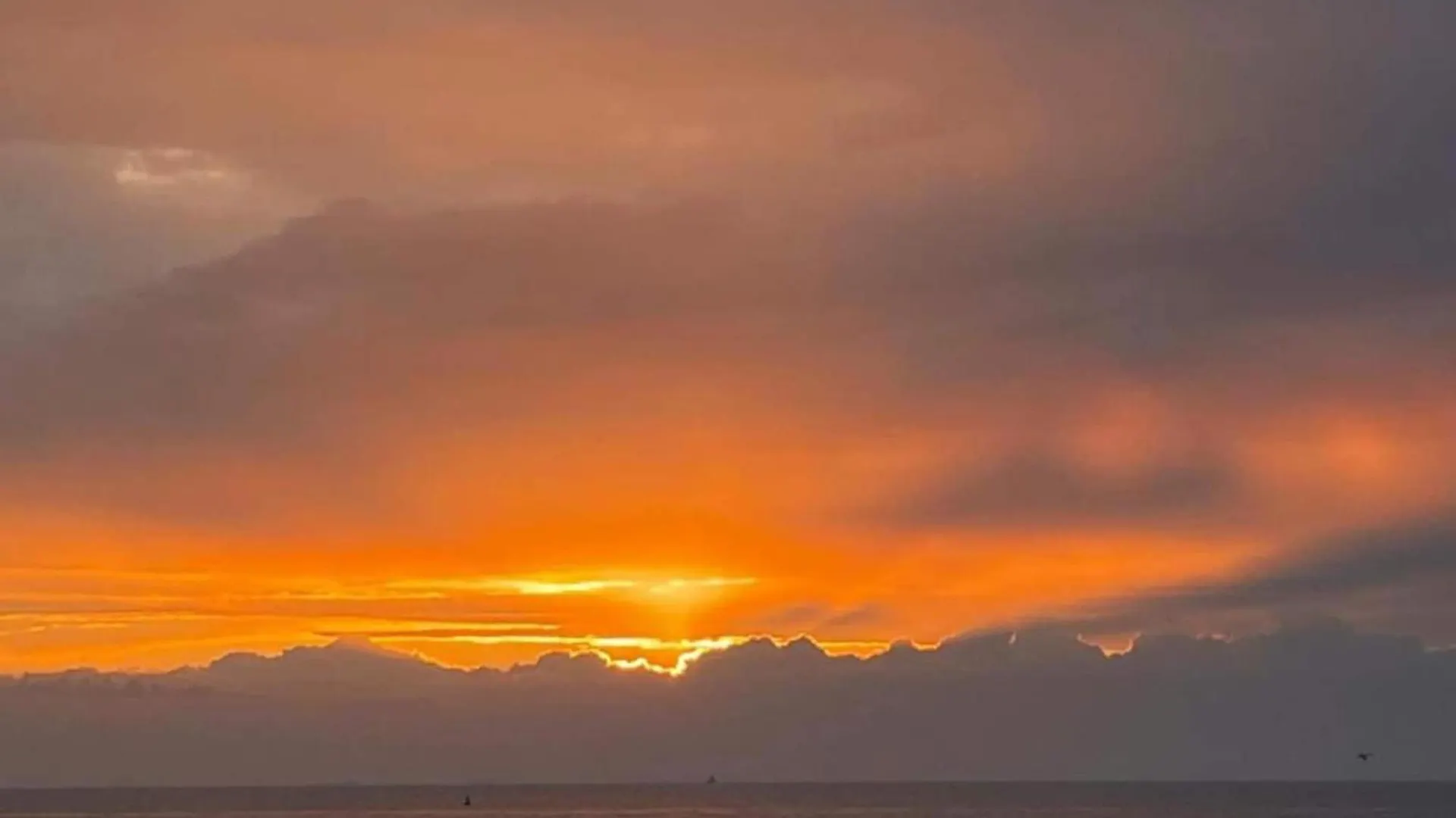 Beautiful Apartment With View Ostende